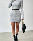 Niche Knit Crew Neck Mini Dress